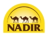 Nadir